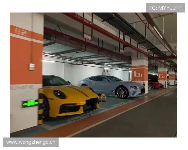 林孝埈又换豪车了，车库都快当展览馆了？